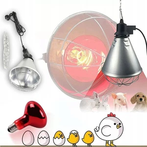 Wärmelampe für Tieraufzucht inkl. 250 W Infrarotlampe + Schutzkorb Wärmestrahler - Bild 1 von 11