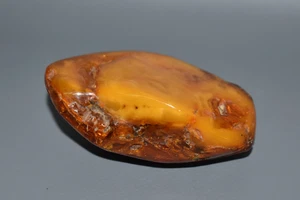 Großer Rohbernstein Naturbernstein Butterscotch Amber 64 Gramm Fach #A4 - Bild 1 von 6