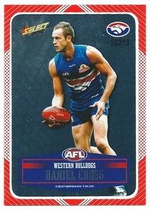 2012 Champions DIY Silver (SS213) Daniel CROSS Western Bulldogs - Picture 1 of 1