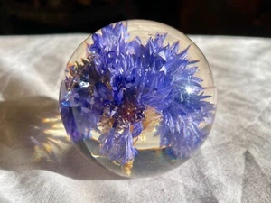 Hafod Grange Cornflower Paperweight – 2005 Blue Botanical Globe 7.5cm 🌸 - Picture 1 of 5