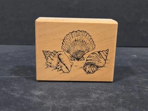 Sello de goma PSX 1999, D-190 Sea Shells, Ocean Beach - Imagen 1 de 3