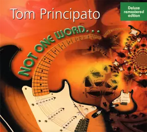 Tom Principato ~ Not One Word (2000) CD 2011 Powerhouse Records •• NEW •• - Picture 1 of 2