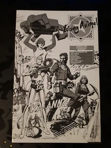 DC YOUNG ANIMAL ASHCAN EDITION SDCC COMICCON 2016 ESCLUSIVO PROMO FUMETTO NM - Foto 1 di 4