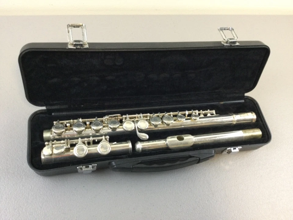 Flauta LAUREN Nº1506033 Instrumento Musical Vintage con Estuche Original Foto 1 de 4