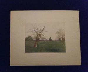 Early 1900s HAND COLORED PHOTOGRAPH Signed Richardson FIELD IN SPRING BARE TREES - Picture 1 of 1