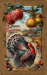 POSTCARD THANKSGIVING TURKEY UNDER APPLE BRANCHES EMBOSSED - 1910 - Picture 1 of 2