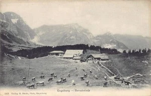 Schweiz - ENGELBERG (OW) Gerschnialp - Verlag H. Häcki 141 - Imagen 1 de 2