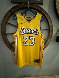 Lebron James Nike Lore Series City Lakers Trikot Größe 48 L Herren Lake Show Magic - Bild 1 von 5