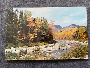 Swift River from Kancamagus Highway, White Mountains, New Hampshire Postcard - Picture 1 of 2