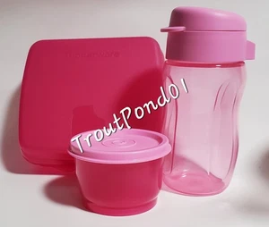 Juego de almuerzo Tupperware Sandwich Keeper Snack Cup 10 1/2 oz botella ecológica rosa fucsia - Imagen 1 de 5