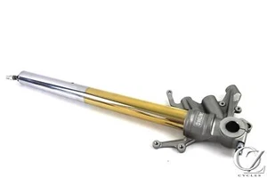 20-25 Yamaha R1M R1 Left Front Forks Lower Suspension - Bild 1 von 8