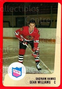 1988-89 ProCards IHL #119 Sean Williams