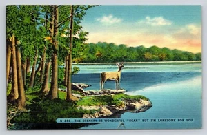 Die Landschaft ist wunderbar Lieber, aber ich bin einsam für dich Hirsch Wortspiel Vintage Postkarte - Bild 1 von 3