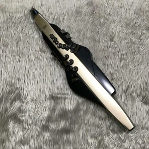 Roland Aerophone AE-20 SC Digital Wind Instrument Synthesizer gebraucht aus... - Bild 1 von 24