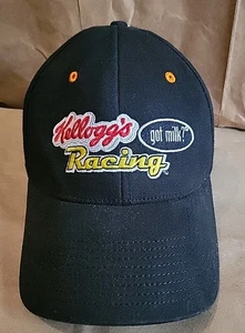 KELLOGG'S RACING GOT MILK? TERRY LABONTE NASCAR Fitted HAT NASCAR - Picture 1 of 12