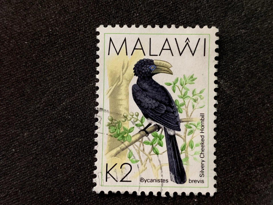 MALAWI 1988 BIRDS K2 SILVERY CHEEKED HORNBILL BYCANISTES BREVIS - FINE USED 2K - Image 1 of 1