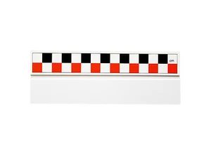 Past Horizons: Red, Black & White Photo Scale Ruler 15 cm - Picture 1 of 1