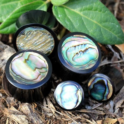 PAIR of Organic Black Buffalo Horn Saddle Plug with Abalone Inlay - Image 1 of 4