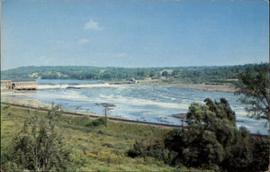 Bangor,ME Famous Salmon Pool & Falls Penobscot County Maine Postcard - Picture 1 of 2