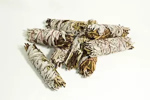 Paquete de 5""-6"" de salvia blanca de California + Yerba Santa Mancha (8 piezas) #JC-91 - Imagen 1 de 4