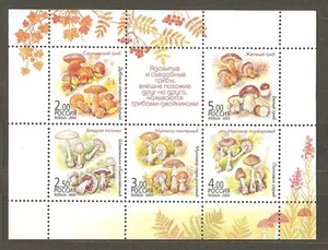 Russia: mint block, 2003, Mushrooms, Mi#Bl61, MNH. - Picture 1 of 1
