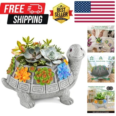 轻质海龟多肉锅防漏设计-室内装饰乐趣 — 第 1/4 张图片