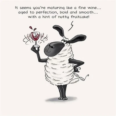 PAPERLINK Happy Birthday Card Wine Aged To Perfection Humour Joke Funny Open Male Female