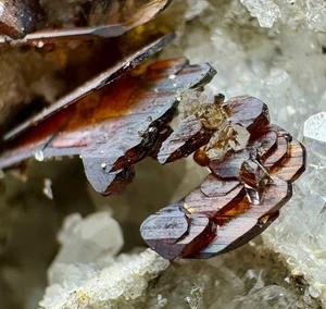 Cúmulo de cristales de brookita roja ultra raros bien terminados de 299 quilates en matriz - Imagen 1 de 11