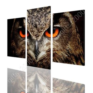 Adler Eulenaugen von Split 3 Paneele | Leinwand (gerollt) | 3 Paneele Wandbild Kunstwerk - Bild 1 von 21