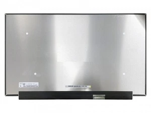 Écran LED 15.6'' BOE NE156QHM-NY4 V8.0 2560x1440 Mat EDP 40 Broches 165Hz 5D11 - Afbeelding 1 van 2
