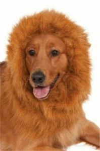 Deluxe Lion's Mane Adjustable Dog Pet Costume Rubies Pet Shop - Bild 1 von 3