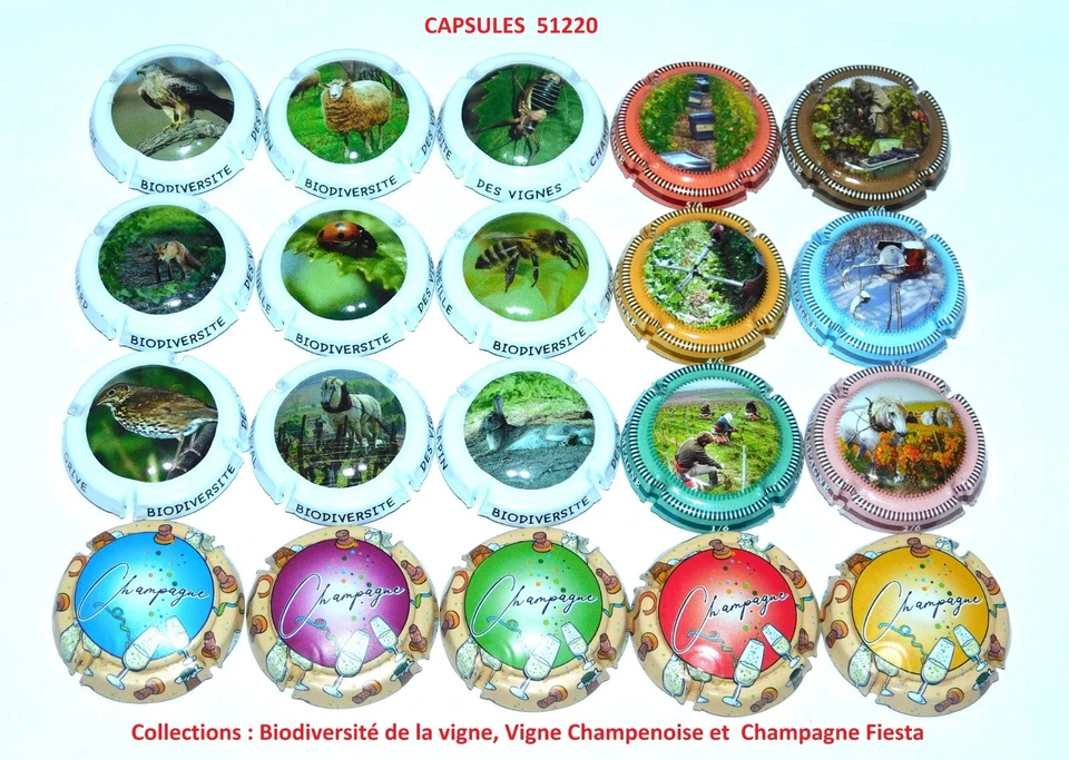 3 Séries = 20 capsules de champagne - GENERIQUE (Juin 2023 )