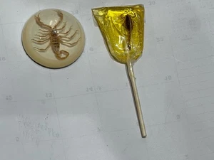 VTG Maack Scorpion in Lucite 2.5" Plus bonus Hotlix Scorpion Sucker-Banana - Picture 1 of 10