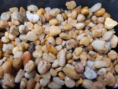 Bolsas de sustrato de grava natural para acuario tamaño guisante 9 libras ENVÍO GRATUITO Foto 1 de 3