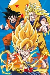Dragon Ball Z: 3 Gokus Evo - Maxi Poster 61 cm x 91,5 cm neu und versiegelt - Bild 1 von 2