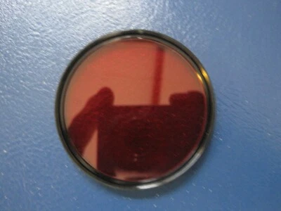 Vintage Kenko SR60-2 55mm R1 Red Camera Lens Filter - Image 1 of 4