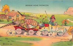 HUNTER PHEASANT STRAPPED TO CAR BRINGING HOME BACON 1946 LINEN POSTCARD 081425 - Picture 1 of 2