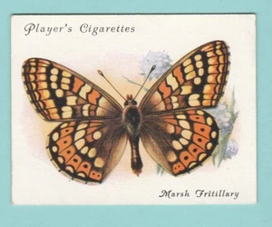MARIPOSAS - JUGADORES - TARJETA GRANDE NO. 10 - MARSH FRITILLARY - 1934 - Imagen 1 de 2