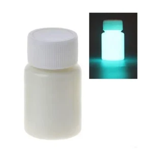 Fluoreszierende Leuchtfarben Nachtleuchtende Acrylfarbe Glow in the Dark - Bild 1 von 21