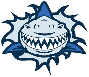 4x Aufkleber Shark Hai 6x6 cm für Auto KFZ Handy Laptop Haifisch von vorne Zähne - Bild 1 von 2