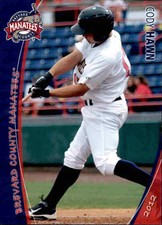 2012 Brevard County Manatees Grandstand 11 Cody Hawn Knoxville Tennessee TN Card
