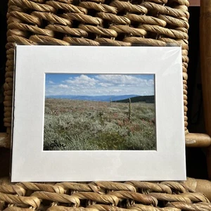 Foto von Wildblumen Colorado Wildnis 8x10 Passepartout Druck Kunst Fotografie - Bild 1 von 4