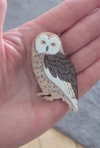 Acrylic Owl bird brooch - Picture 1 of 1