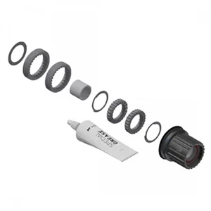 Dt Swiss Microspline Ratchet Conversion Kit SHI 12s Micro 18t HXYXXX00N5968S - Picture 1 of 1