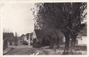 AK Gruß aus Bergisdorf - Dorfstraße, Gänse, Teich, Zeitz, Gutenborn 1941
