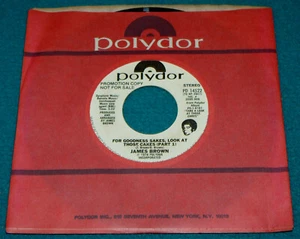 Unplayed : JAMES BROWN "Goodness Sakes, Look at Those Cakes" PROMO 7" Vinyl 45 - Picture 1 of 3