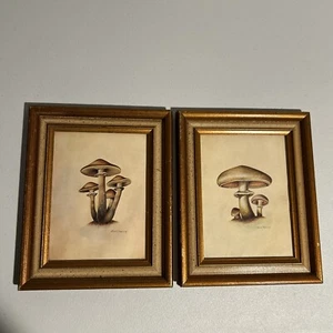 2 quadri funghi Ruane Manning MCM anni 70 incorniciati -vedi foto - Foto 1 di 24