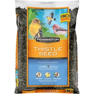 Pennington Select Thistle Seed, Dry Wild Bird Feed and Seed, 5 lb. Bag, 1 Pack - Picture 1 of 6