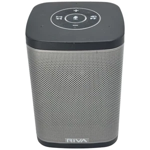 Riva Concert Indoor Outdoor Speaker Black Alexa Apple Android AirPlay Wireless - Bild 1 von 12