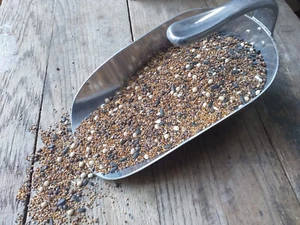 500 gr Bienenweide Honigpflanzen Blühmischung Blumenwiese für 250m² 1,99/100g - Bild 1 von 1